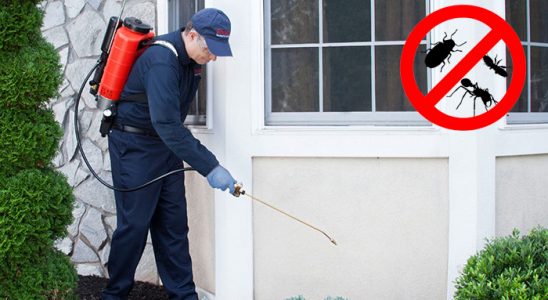 Karapürçek Karınca İlaçlama böcek ilaçlama ve haşere kontrolü — ilaclama-tr.com